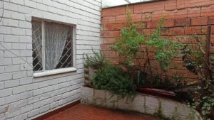 Casa de dos plantas, Madelena, Colombia 9